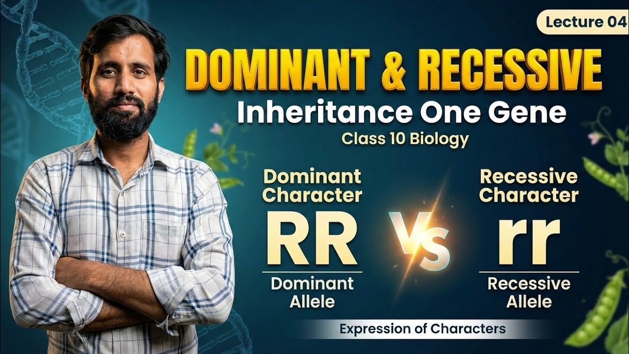 Dominant & Recessive Characters | One Gene Inheritance | Gene & Allele | Class 10 Biology | Part 04