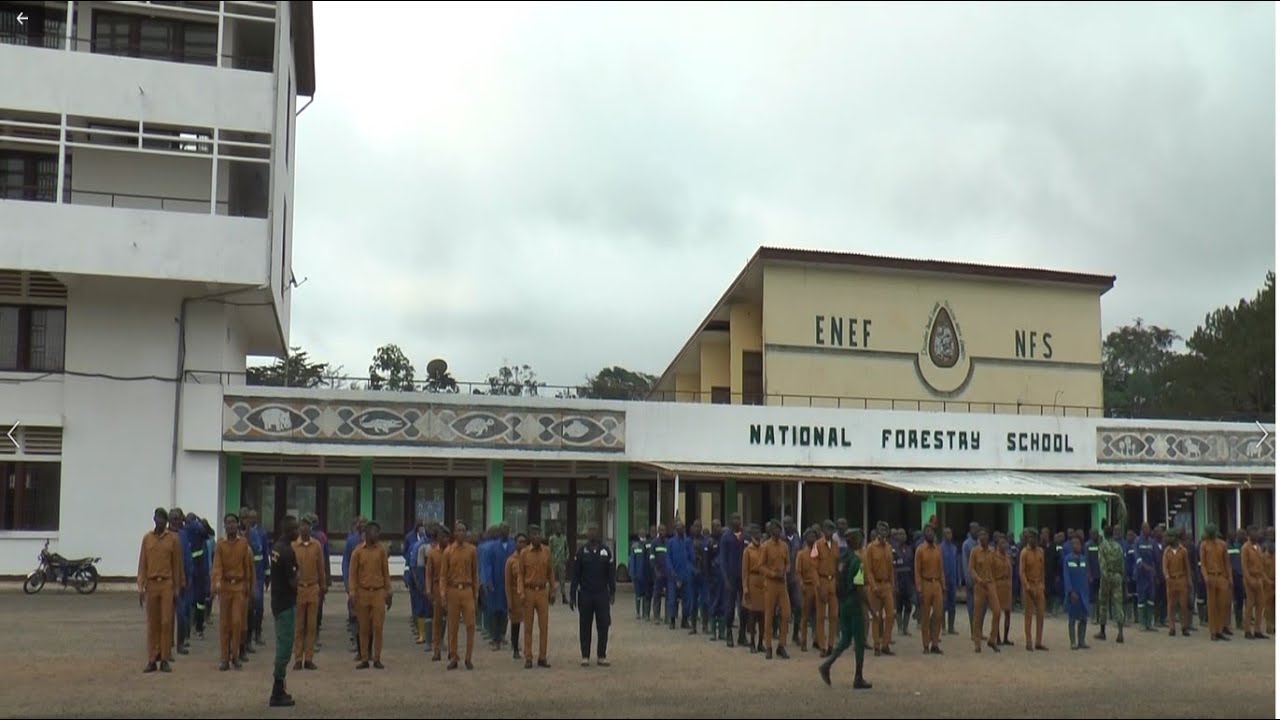 HISTORIQUE DE L’ÉCOLE NATIONALE DES EAUX ET FORÊTS DE MBALMAYO