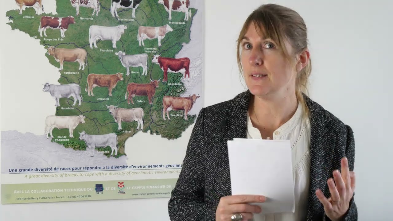 Tendances L&V janvier 2026 conjoncture lait de vache