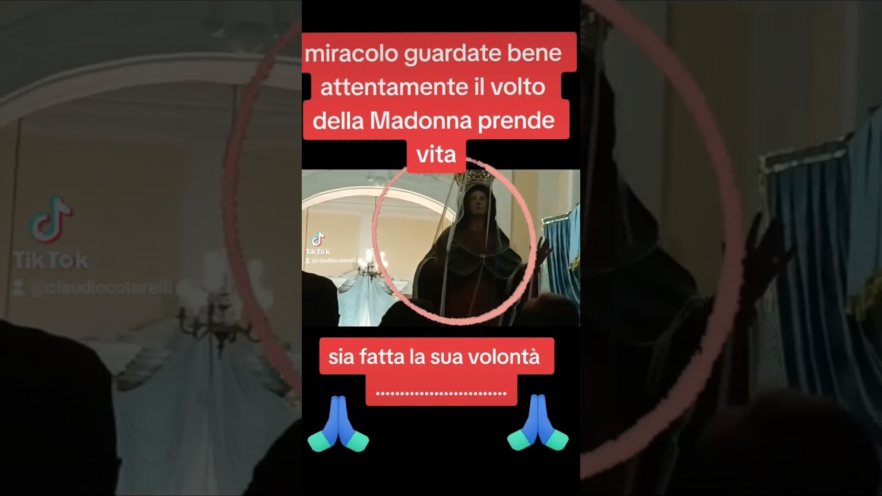 miracolo la statua della Madonna si anima#madonna#miracolo#paranormal#preghiera #processione #fatima