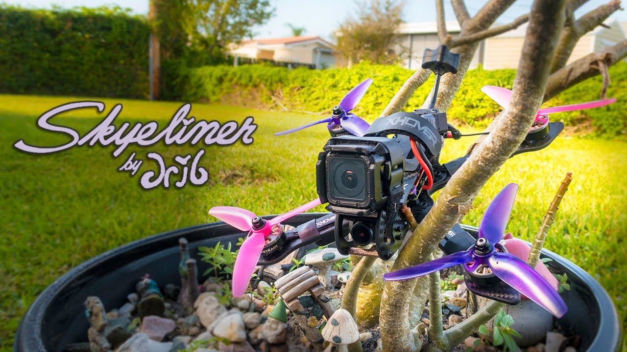 My New Favorite Freestyle Frame - Xhover Le Drib Skyeliner