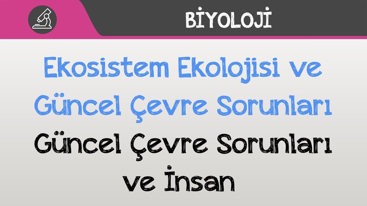 Ekosistem Ekolojisi ve Güncel Çevre Sorunları - Güncel Çevre Soruları ve İnsan