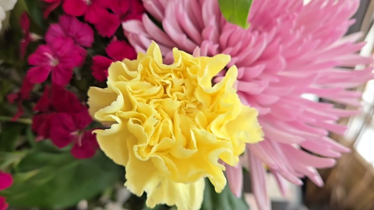 Pretty Flowers | bernee bee