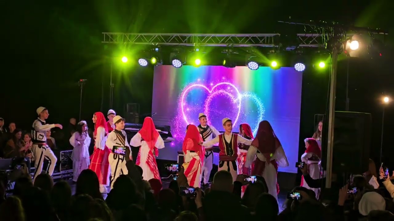 Bazari i Shkolles Fillore Bedri Elezaga - Valle me motive Ana Malse