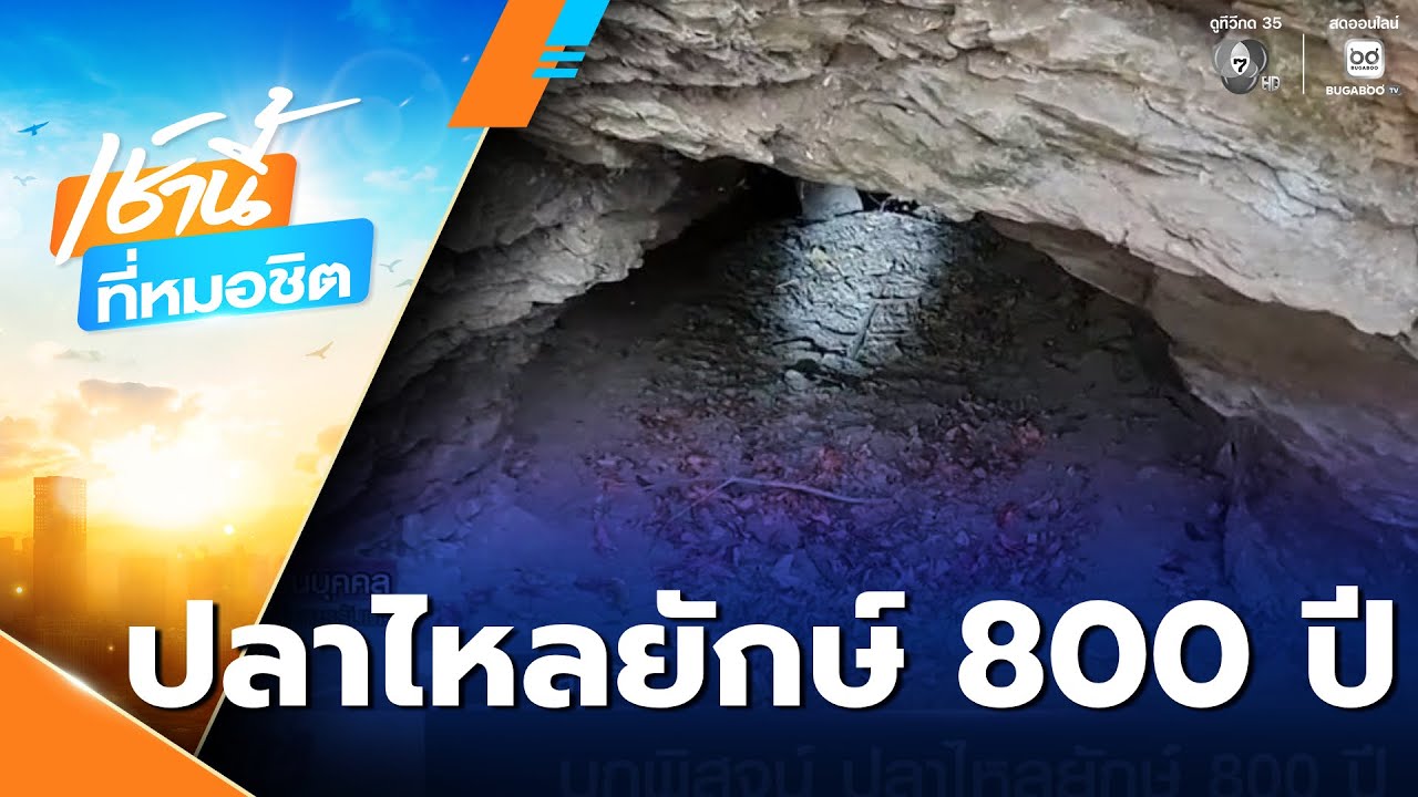 บุกพิสูจน์ ปลาไหลยักษ์ 800 ปี | เช้านี้ที่หมอชิต