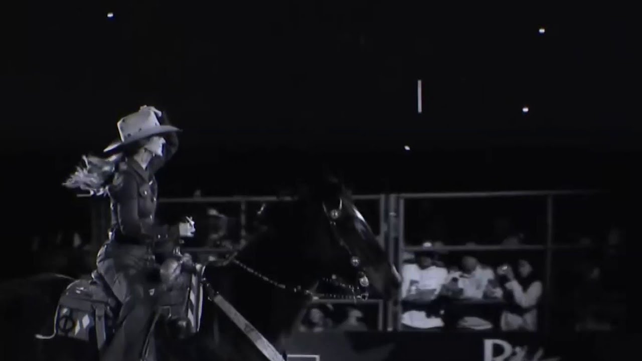 Tips to avoid ticket fraud ahead of the Houston Livestock Show and Rodeo