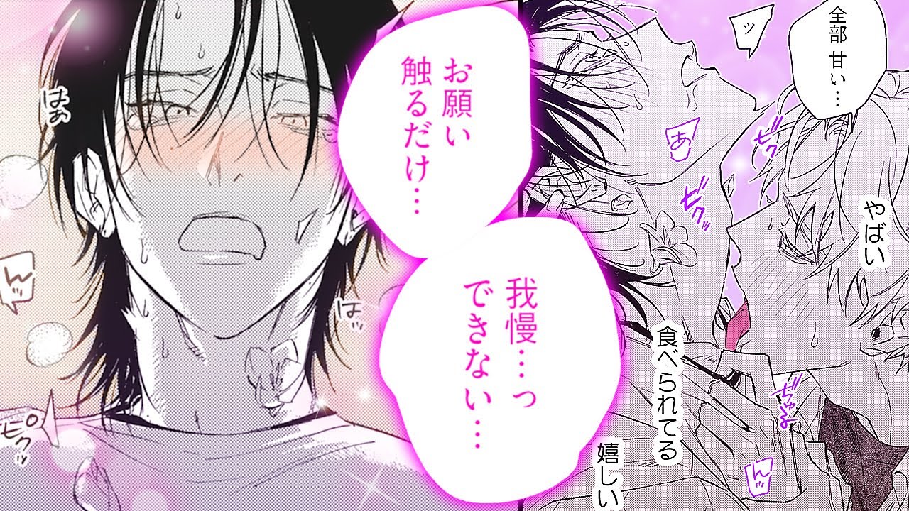 【商業BL漫画】ワンコ大学生×ツンデレ美人モデルの倒錯的ラブ♡【花盗人にキス】│B.Pilz&Tulle ビーピルツ&チュール【公式】