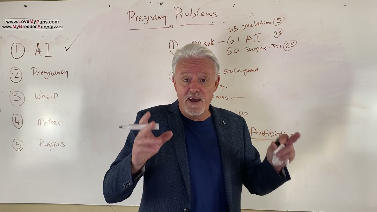 Разведение собак. Проблемы и решения, часть 2/5