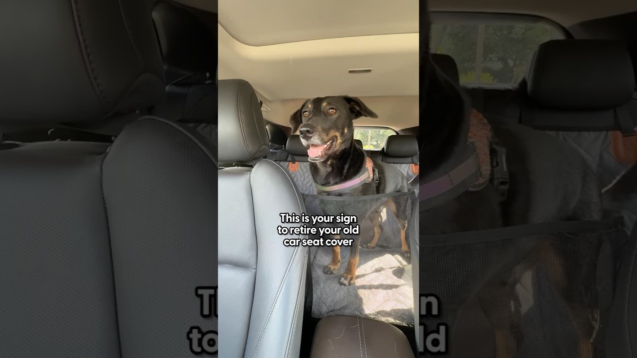This Car Seat Cover Saved My Backseat | The Pack