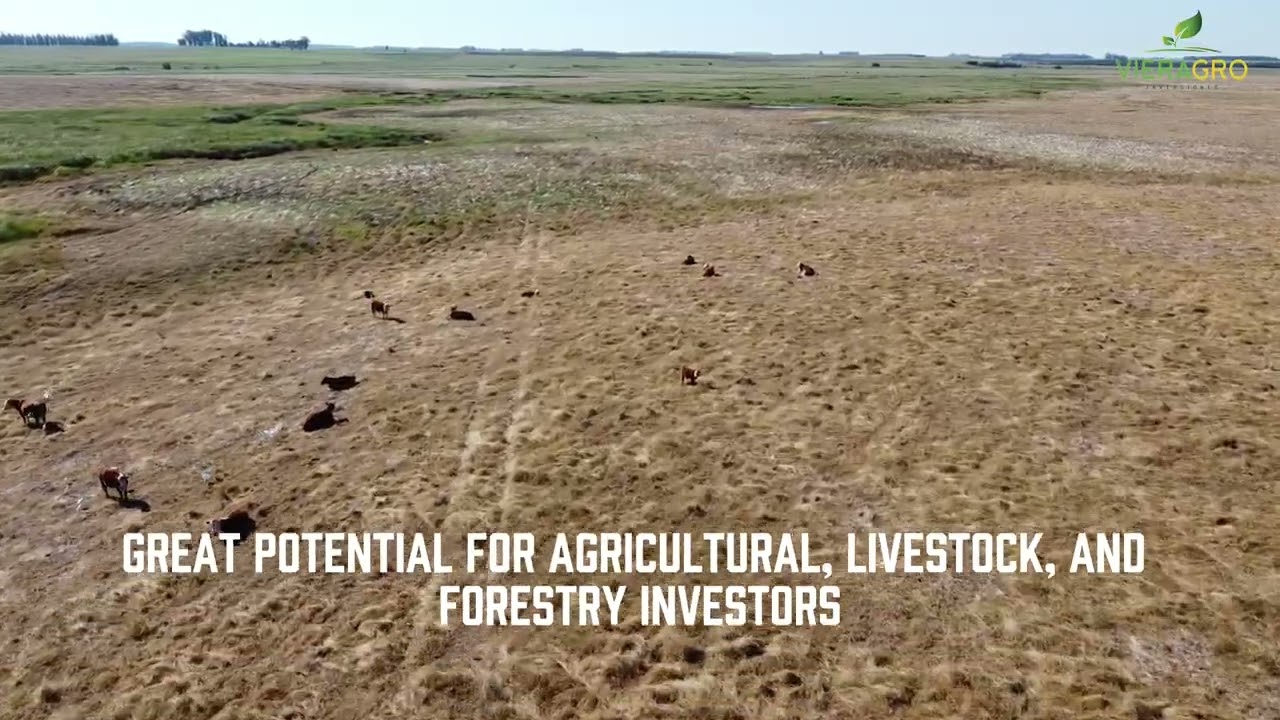 Farm for Sale in Uruguay  Durazno