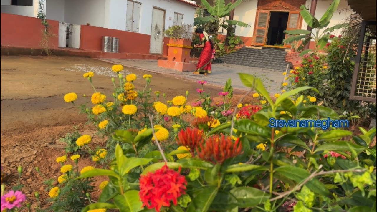 మా శ్రీవారి ని చూపిస్తాను రండి@శ్రావణ మేఘం