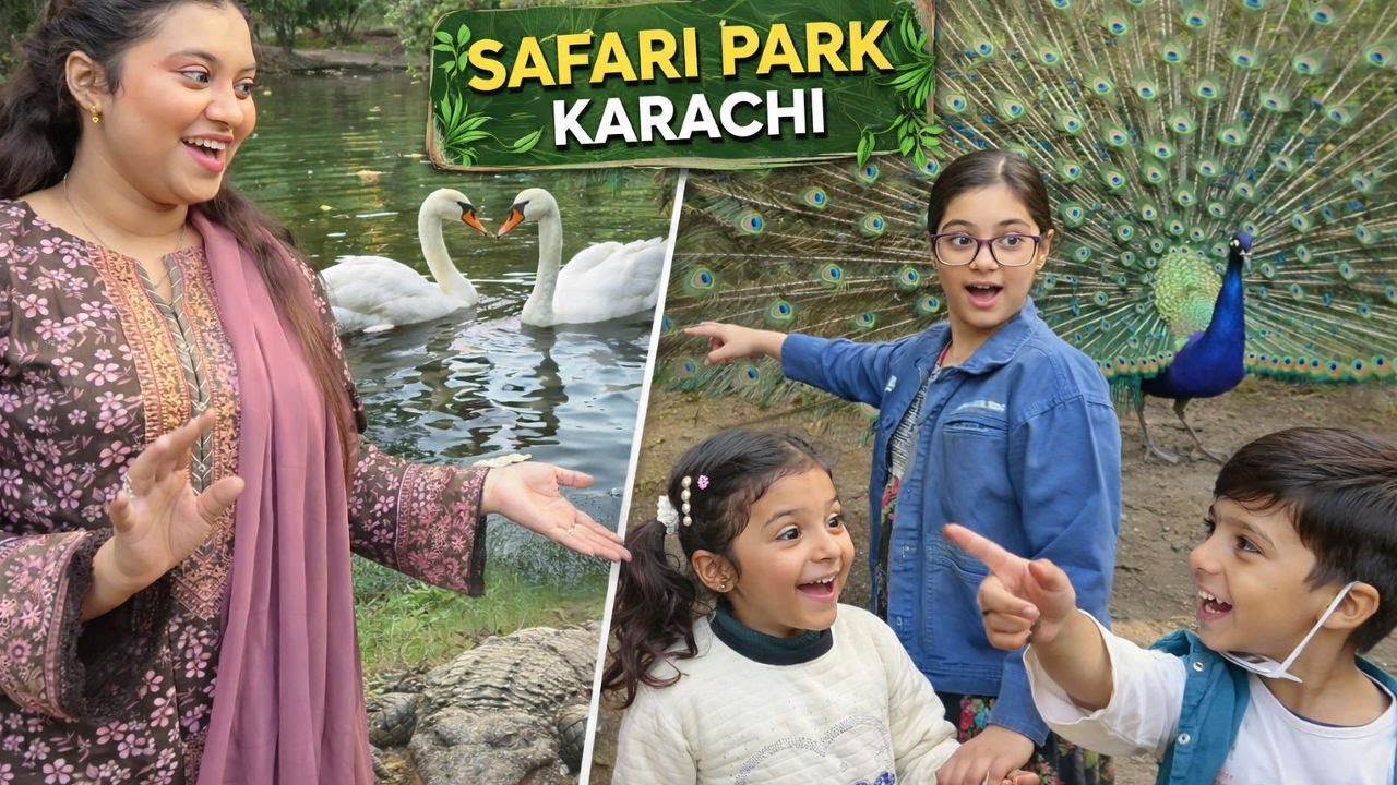 Safari Park Karachi | Swans Peacock & Crocodile | Part 1 | Yumna Khan