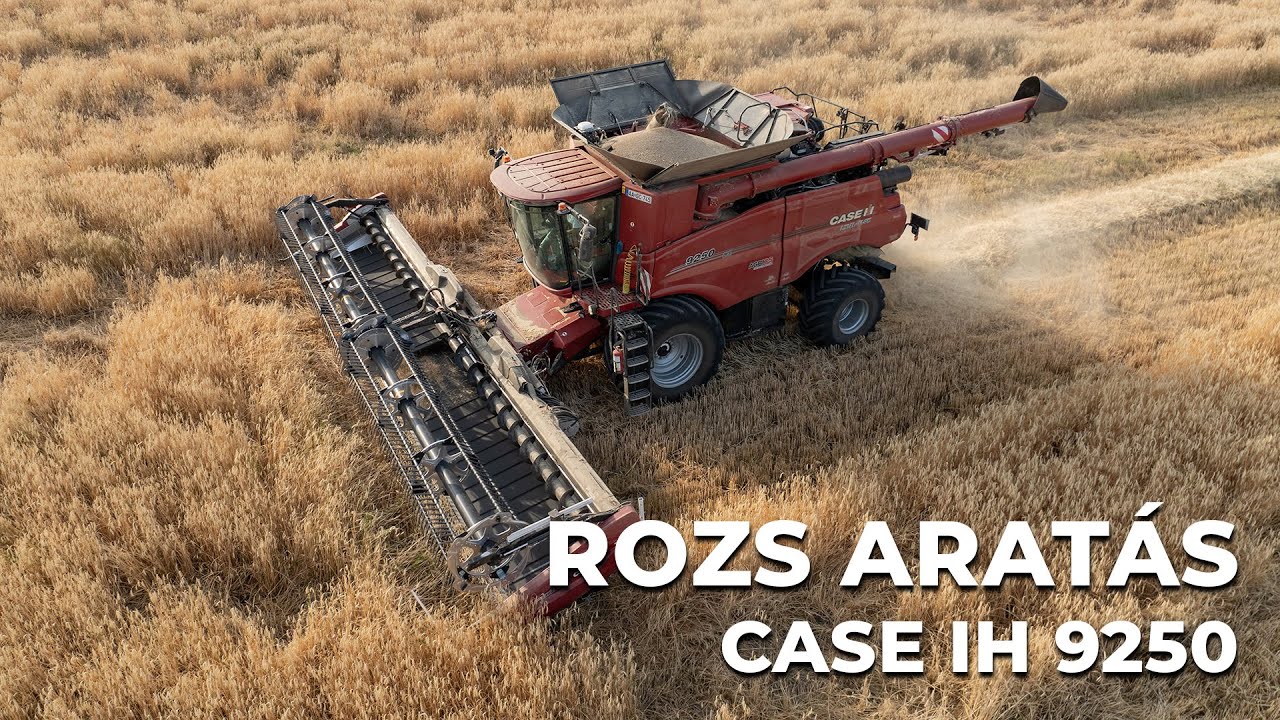 Rozs aratás - Case IH 9250