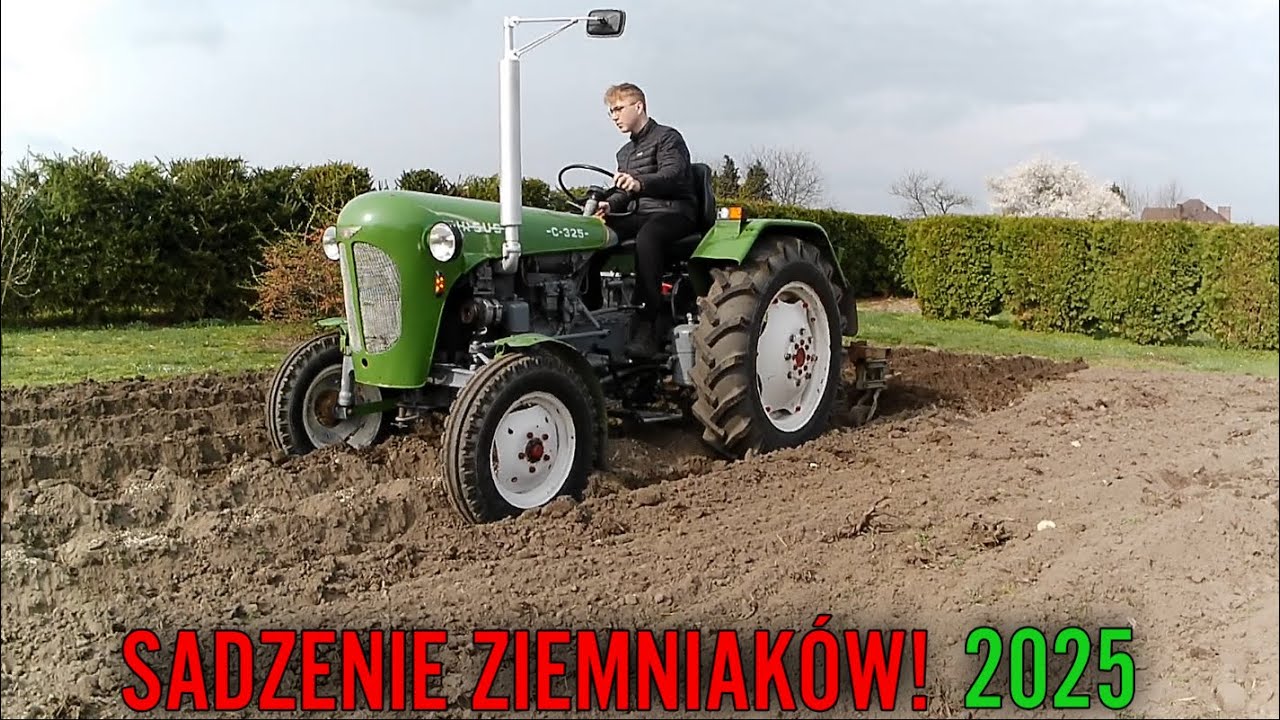Sadzenie ziemniaków 2025