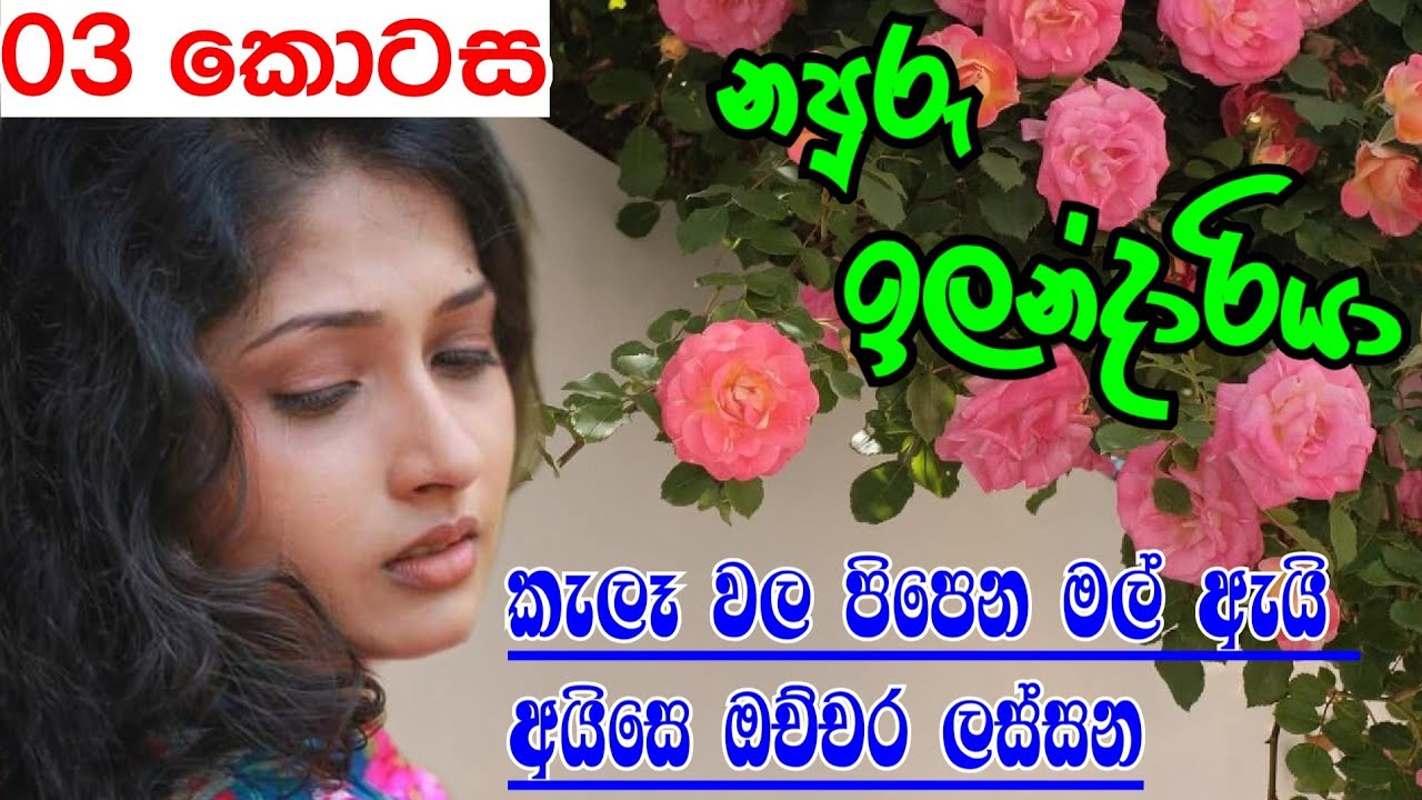 කැලෑ වල පිපෙන මල් ඇයි අයිසෙ ඔච්චර ලස්සන | 03 කොටස | Sinhala nawa katha | Anudi & Dinesh Novels