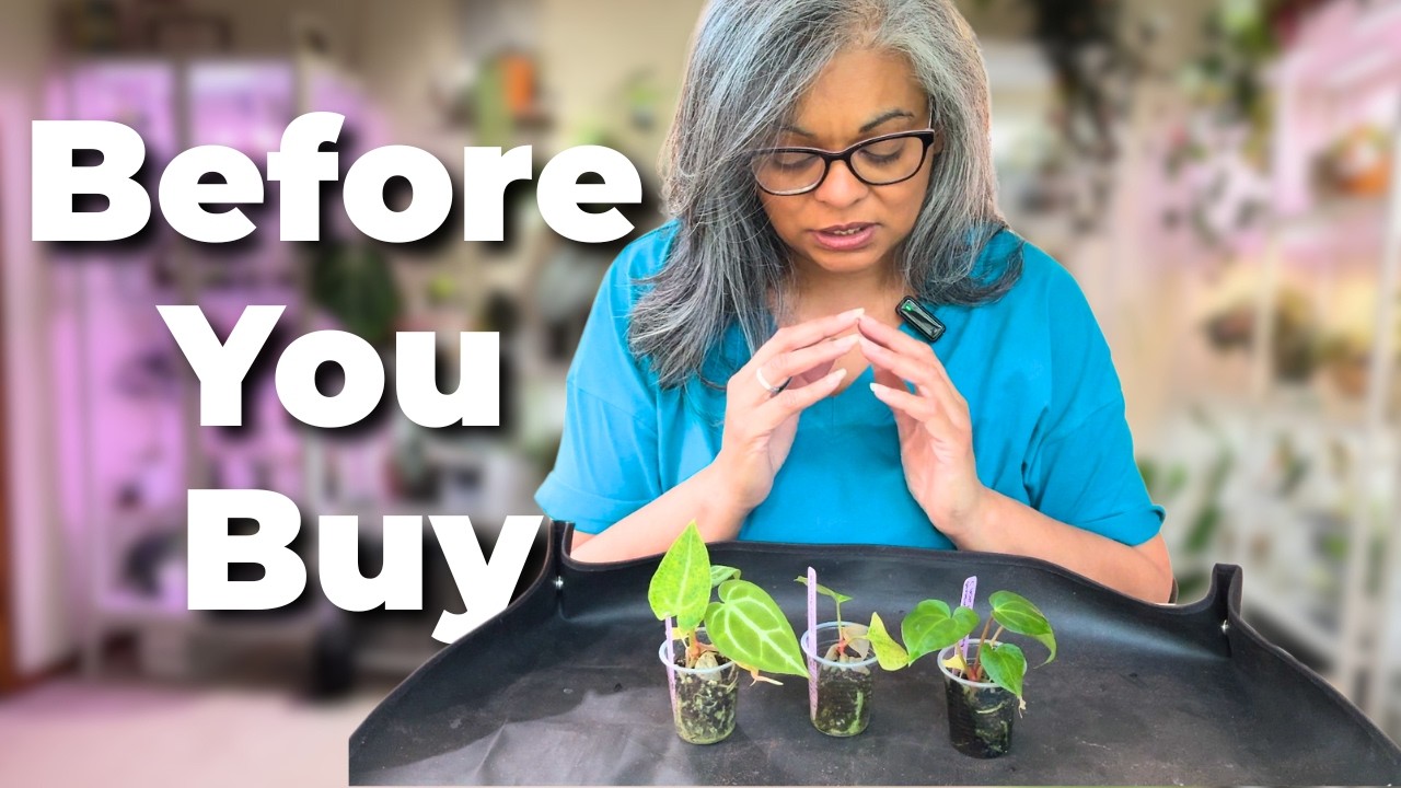 How I Shop for Plants on Etsy
