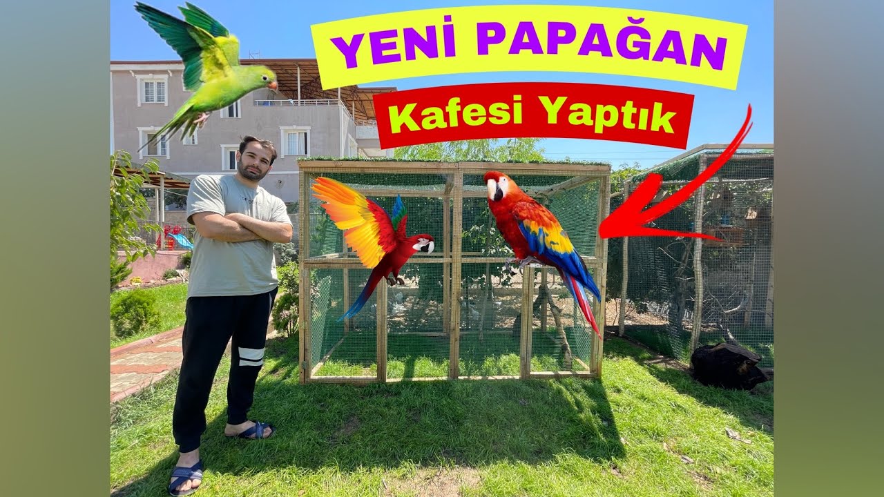 YENİ PAPAĞAN KAFESİ YAPTIK - Bu Sefer Oldu işte !