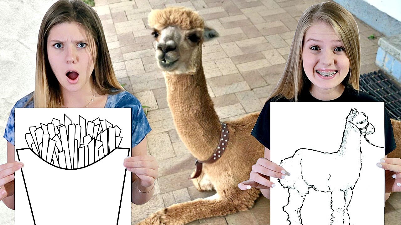 Whatever You DRAW,  I'll BUY It Challenge ✏️ || Taylor & Vanessa