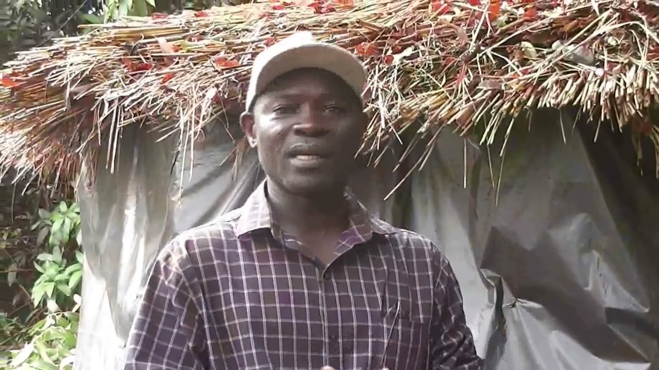 LA CULTURE DU CHAMPIGNON