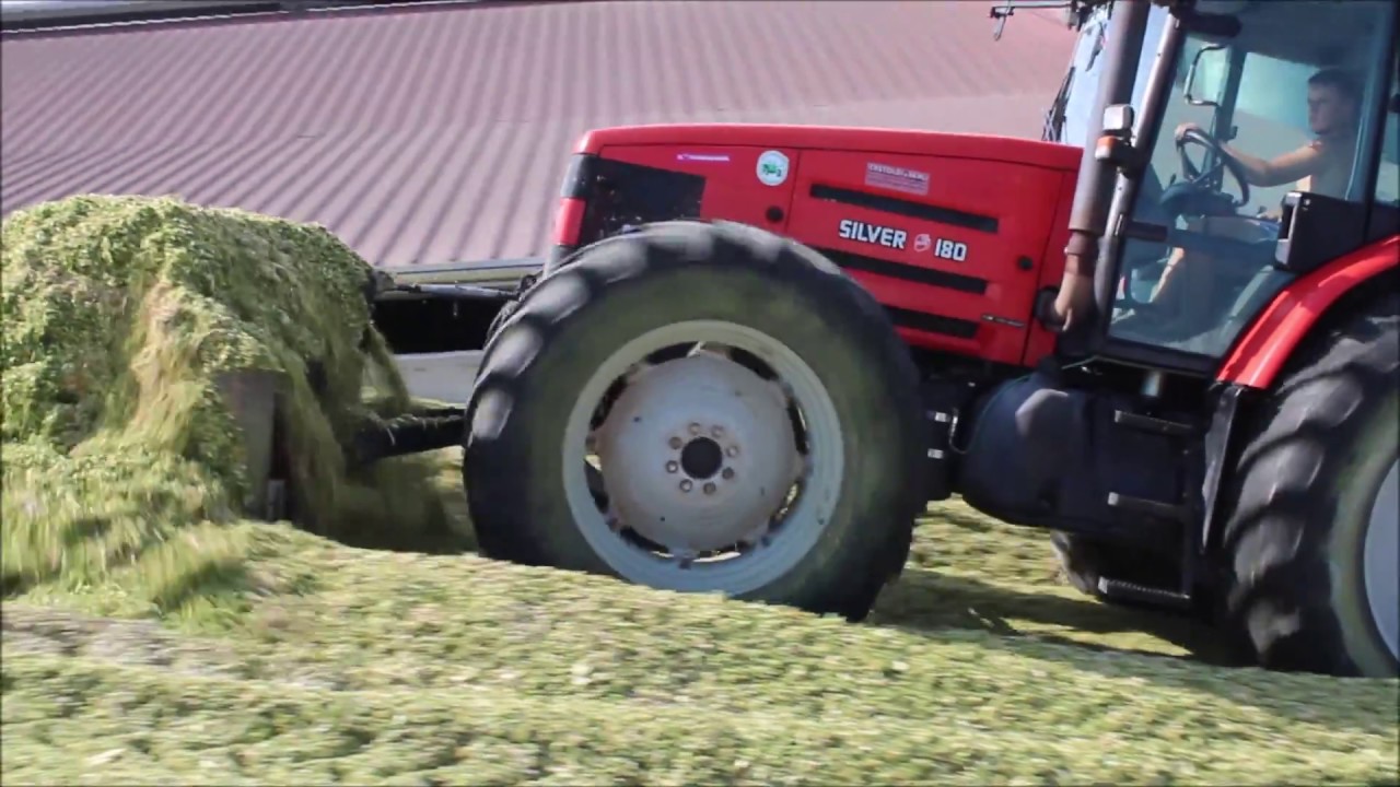 | INSILATO DI MAIS 2018 | MAIS SILAGE 2018 | CLAAS-FENDT-SAME-DEUTZ-AGRIFULL | AZ. AGR. PERTILE |