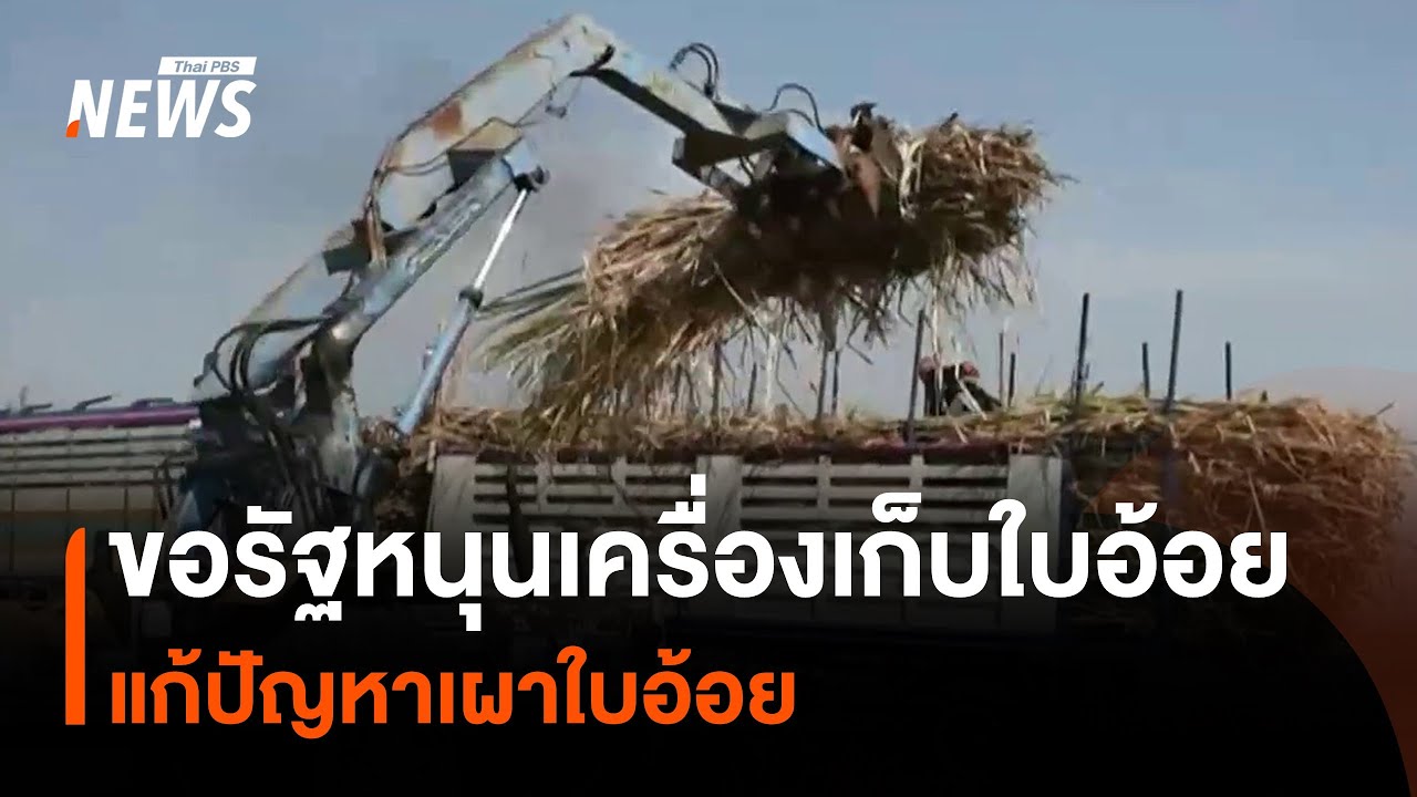 ร้องรัฐสนับสนุน 