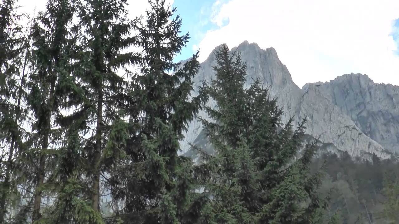 Griesner Alm Dirndln