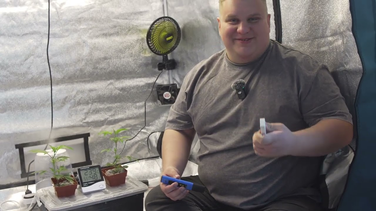 Легально выращиваю марихуану в Буэнос-Айресе (Аргентина) &mdash; мой REPROCANN опыт и гидропоника
