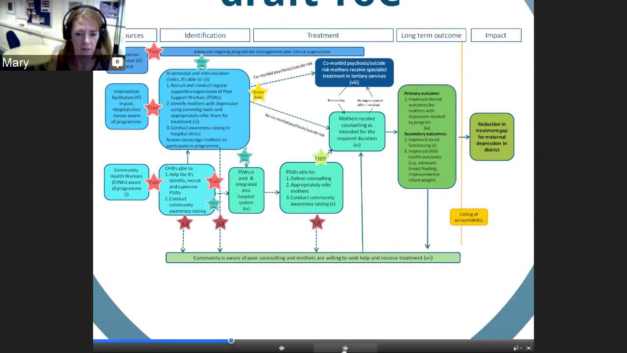 Developing a project level Theory of Change