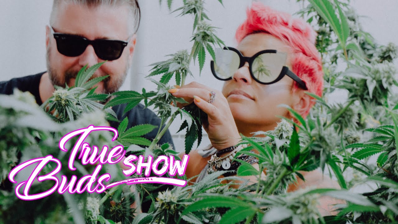 Cool Nerd Weed Show Podcast