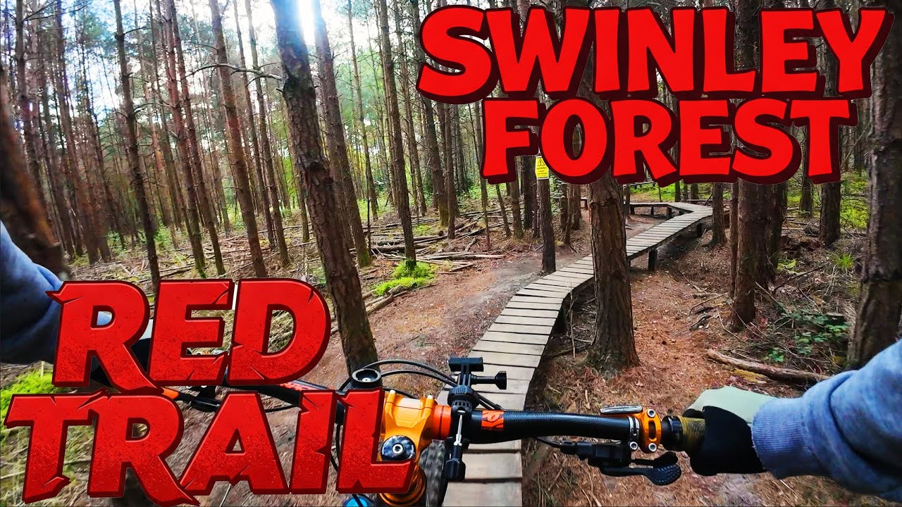 Swinley Forest MTB Red Trail Full Guide 2025