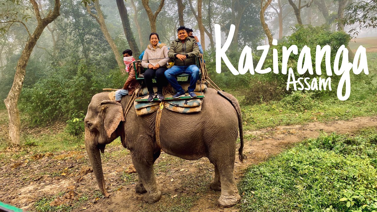 Assam EP 02: RoadTrip 2020 | NorthEast | Kaziranga | Jeep & Elephant Safari | Roving Couple