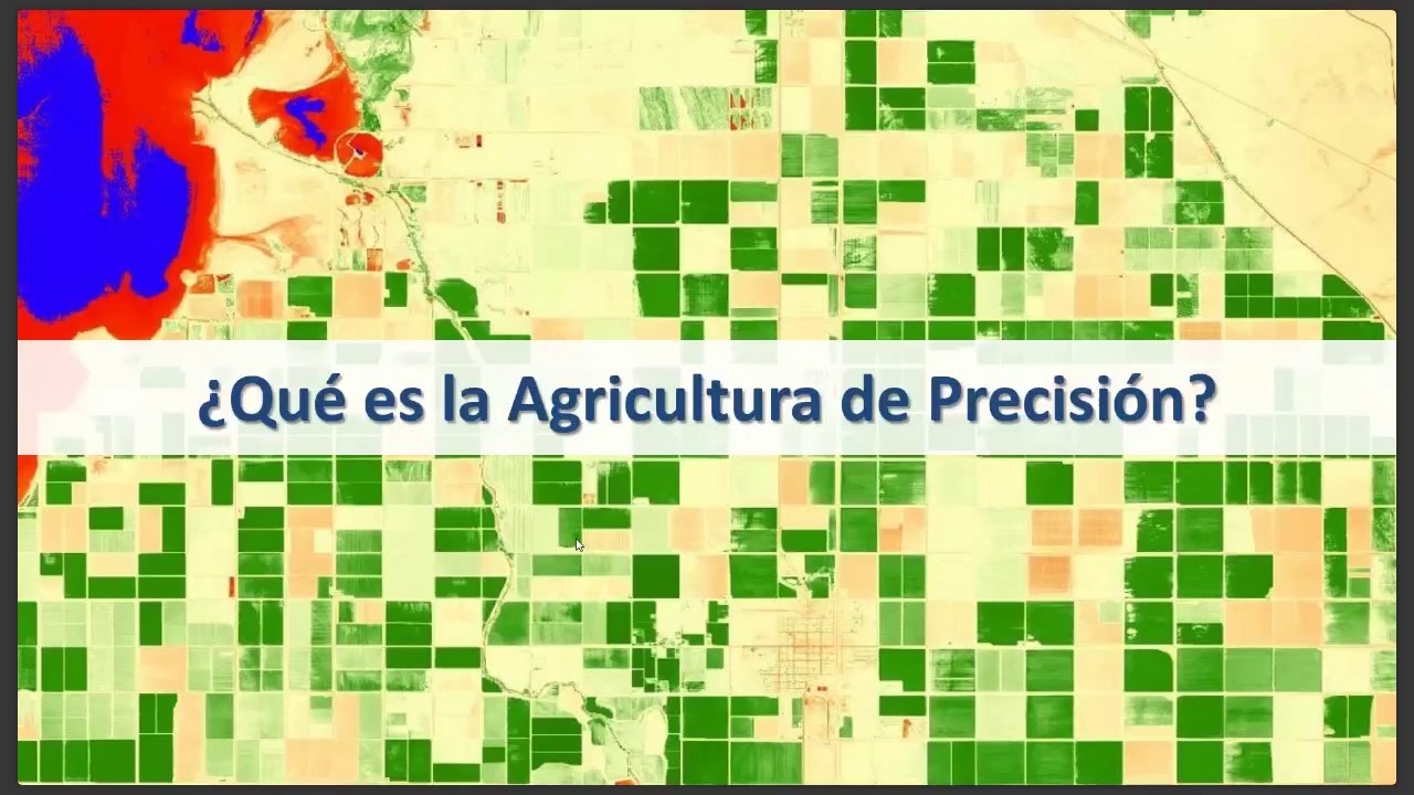 Webinar 