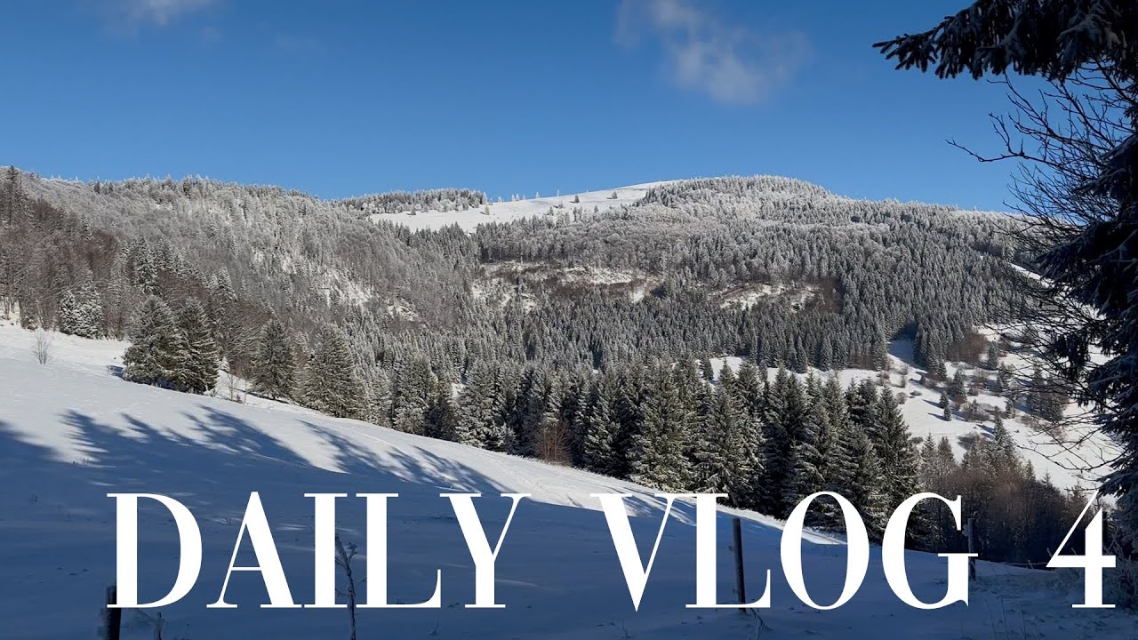 Daily Vlog 4