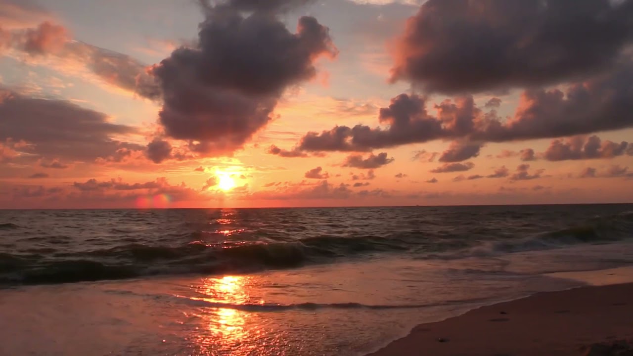 Sunset view on a beautiful beach #beach #sunset #beachphotography #sunsetphotography #shorts #short