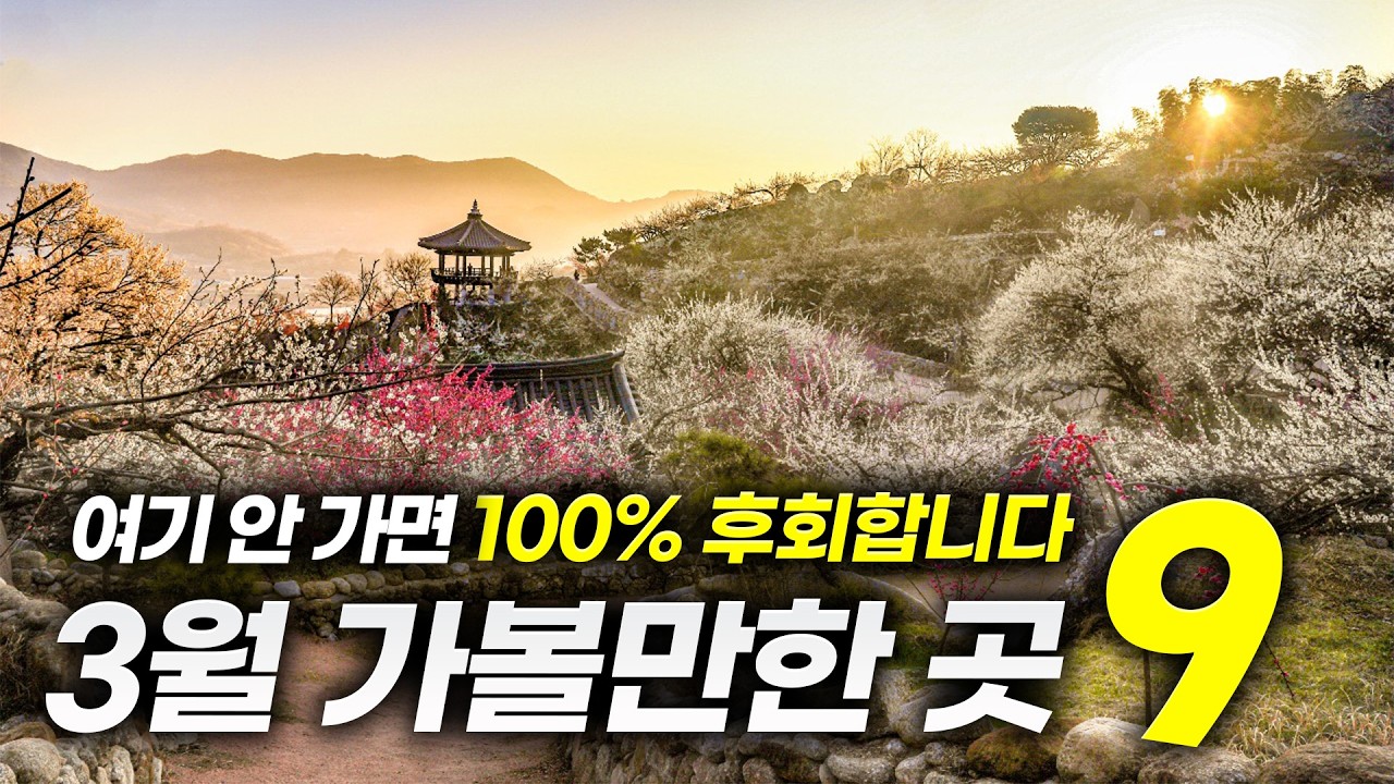 드디어 다시 돌아왔습니다!ㅣ놓치면 평생 후회 하는 3월 가볼만한 곳 BEST9(+꿀팁까지)