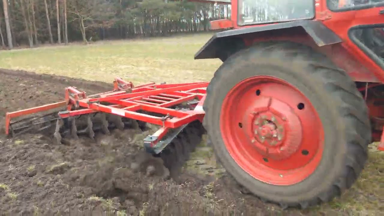 MTZ 82 - uprawa broną talerzową (12.03.2026)