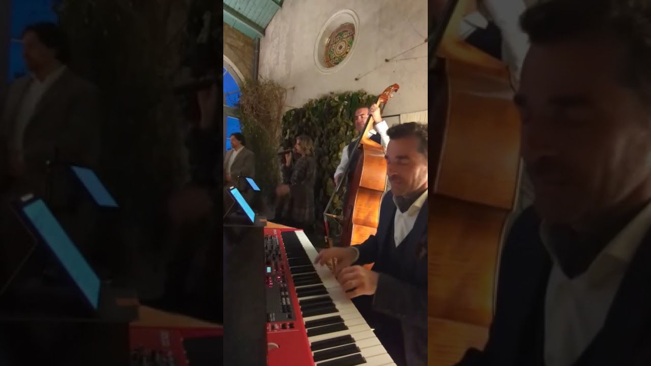 Via con me (It's wonderful) - Velvet Rose Live Band (TRIO)