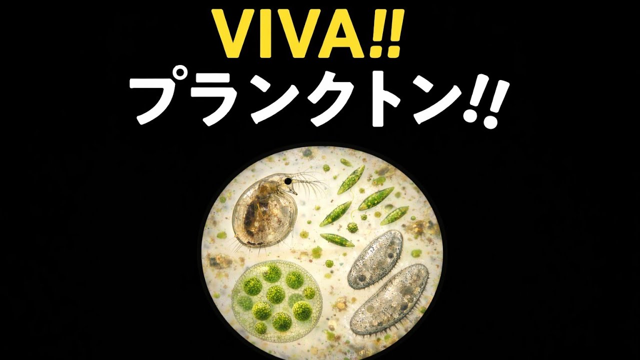VIVA !! プランクトン !!
