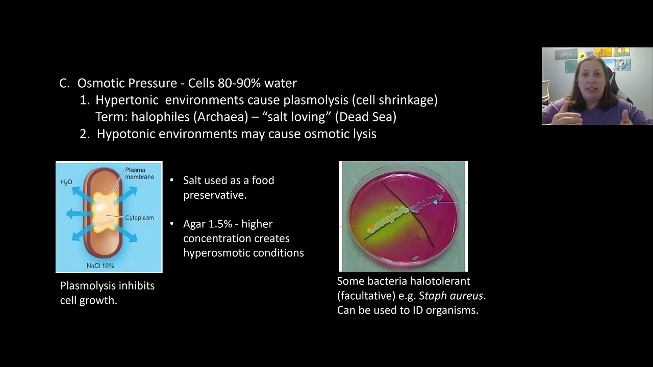 Microbial Growth