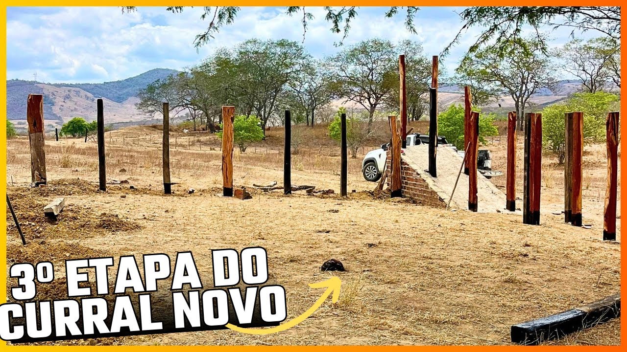 QUANTOS ANOS VAI DURAR ESSA MADEIRA? 