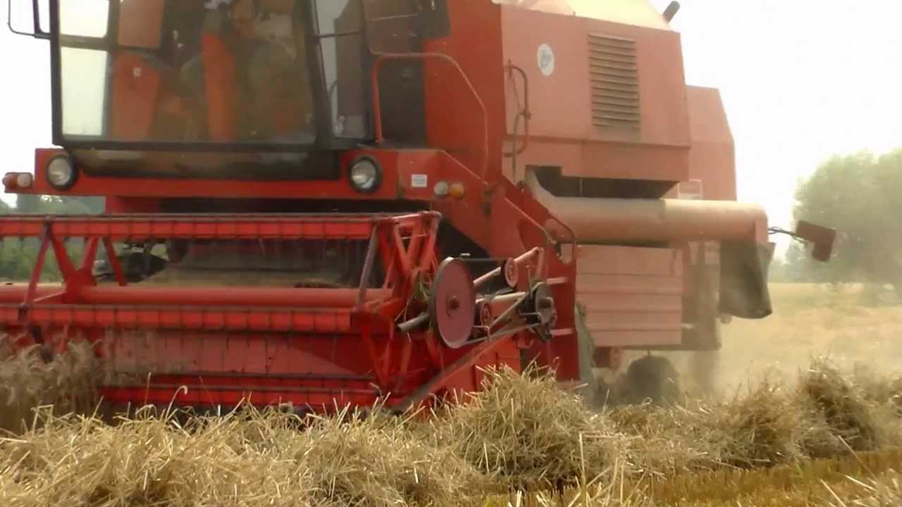 Żniwa 2013 z Dzwiękiem Maszyn Bizon Rekord Z058