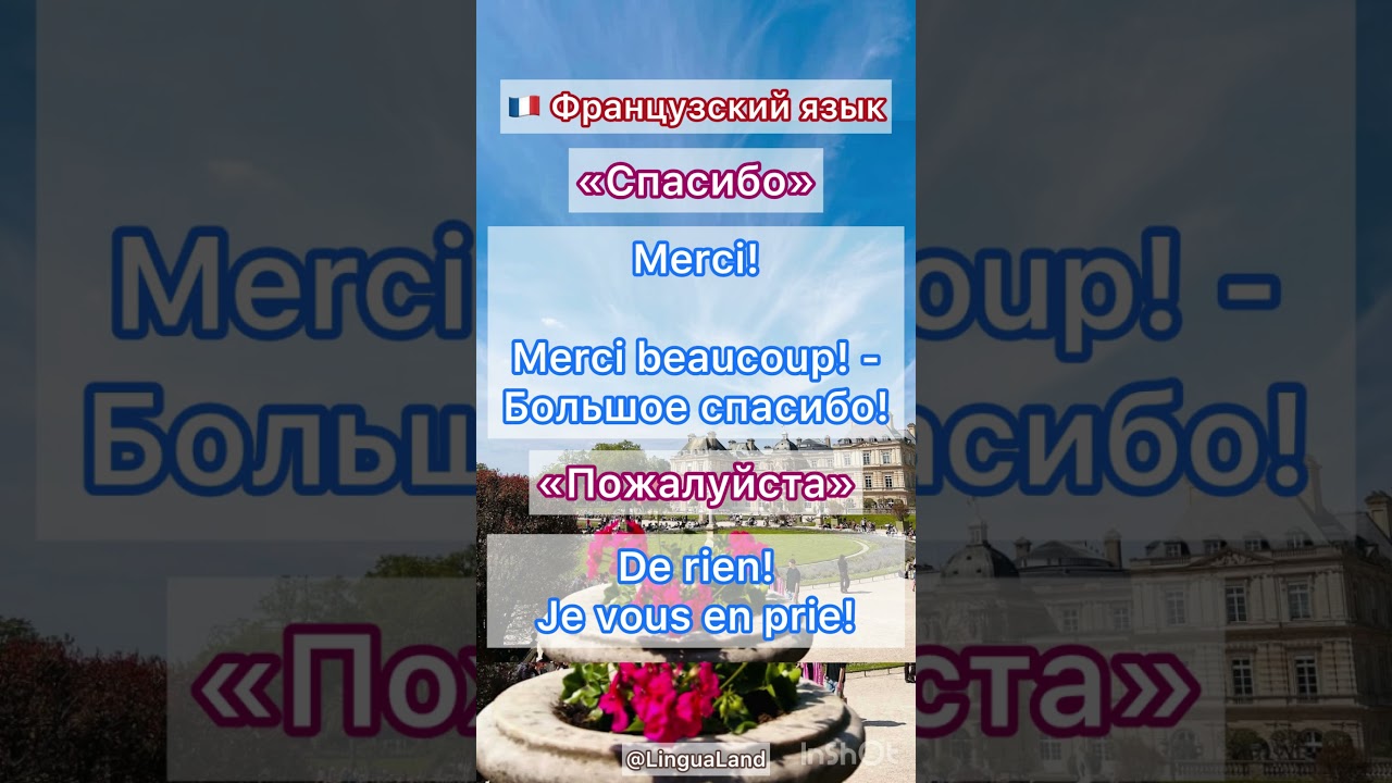 🇫🇷 Французский язык 🤗 «Спасибо», «Пожалуйста»