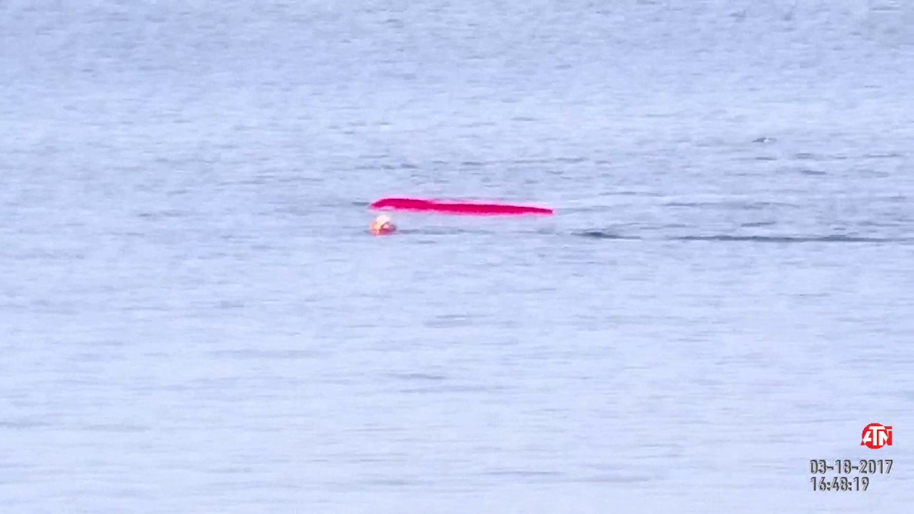 Great White attacks kayaker at Monterey Ca