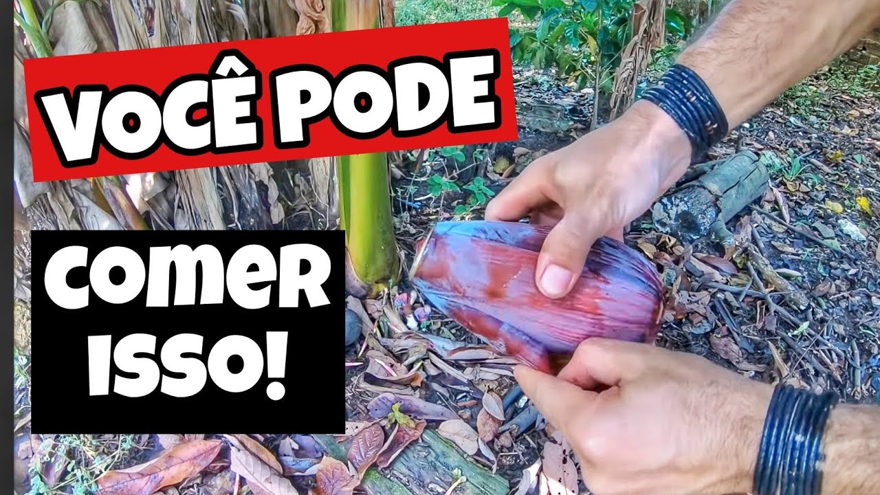 CORAÇÃO DA BANANEIRA OU MANGARÁ| COMO PREPARAR | PLANTA ALIMENTÍCIA NÃO CONVENCIONAL