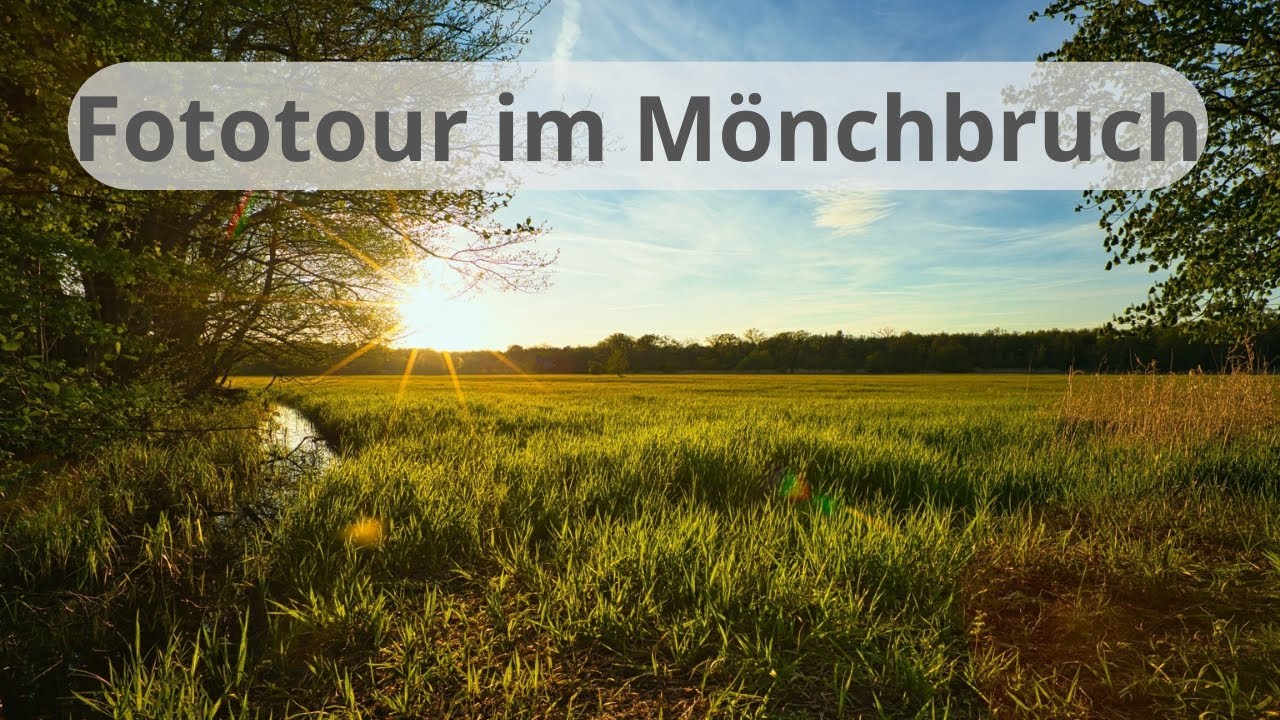 Fototour durch den Mönchbruch, Sonnenuntergangsfotografie