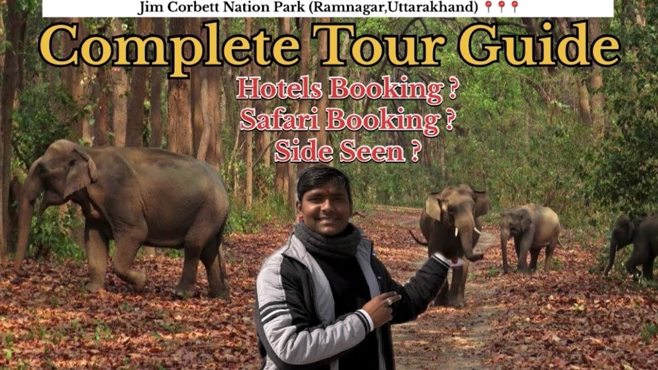 Jim Corbett Park Full Guide || Safari Bookings || Hotels Bookings || Jim Corbett National Park #vlog