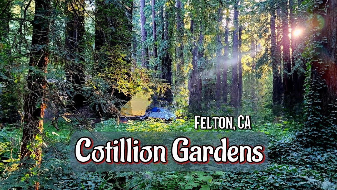 A guide to Cotillion Gardens RV Park| Felton, CA