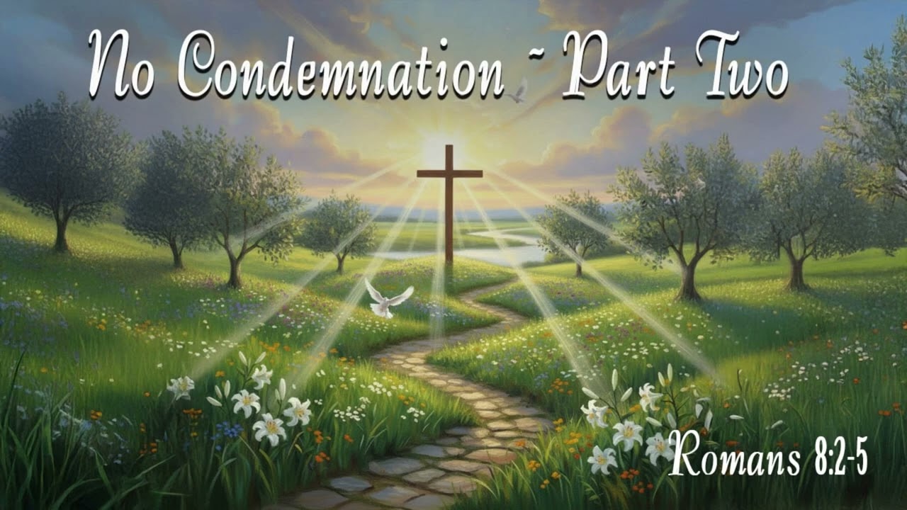 No Condemnation Part Two: The Law of the Holy Spirit has set us free from the law of sin and death.