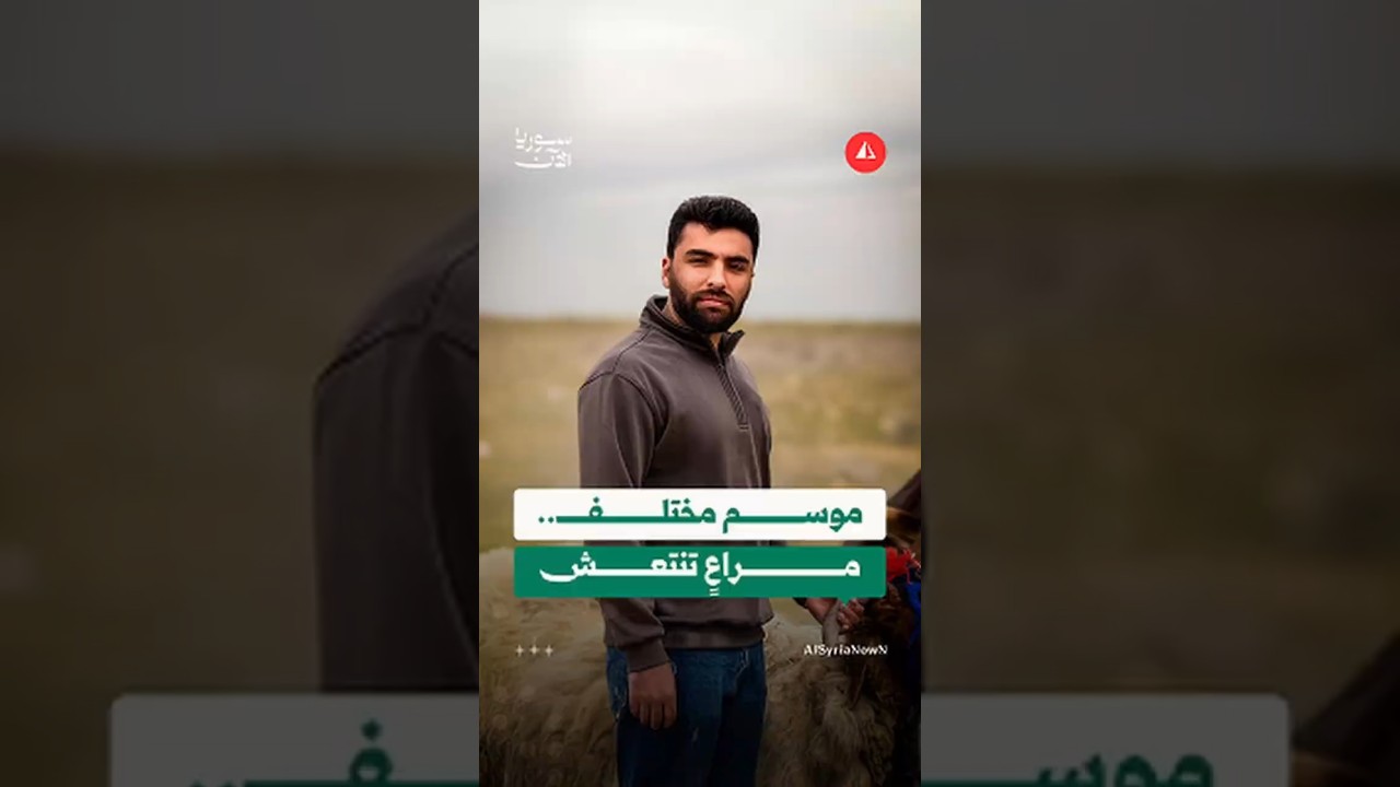 حوار مع راعٍ يصف اخضرار البادية السورية