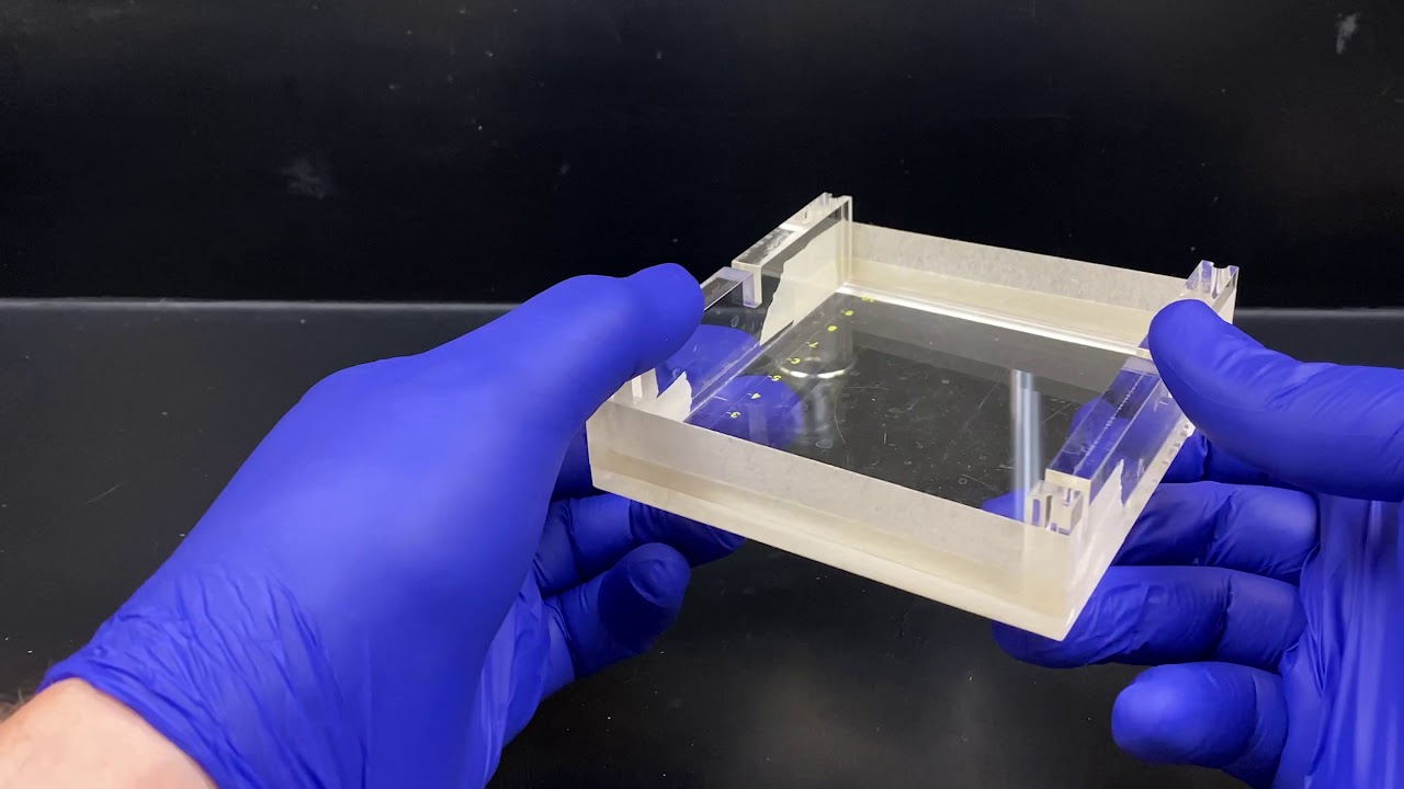 Casting an Agarose Gel